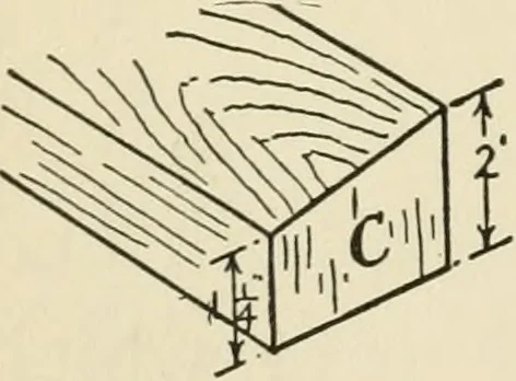 An illustration from The boy craftsman; practical ad profitable ideas for a boy's leisure hours, 1905, leaf 297