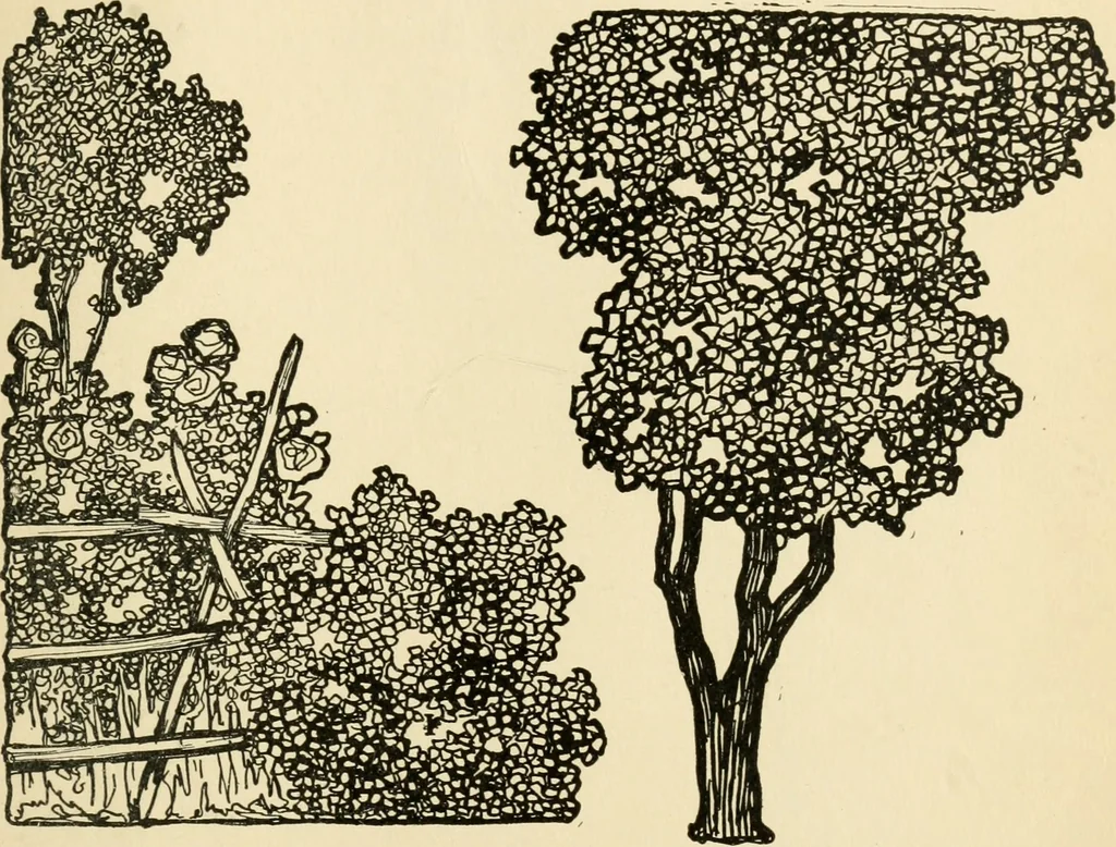 An illustration from The boy craftsman; practical ad profitable ideas for a boy's leisure hours, 1905, leaf 366