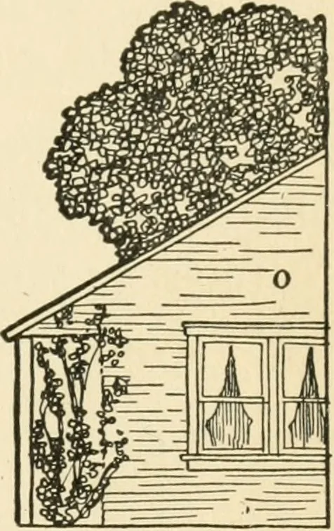An illustration from The boy craftsman; practical ad profitable ideas for a boy's leisure hours, 1905, leaf 372