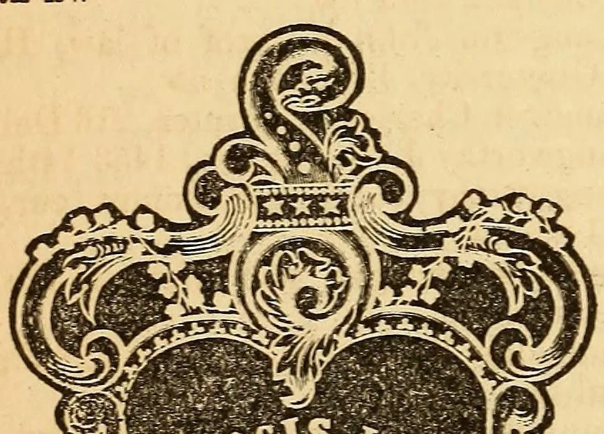An illustration from Boyd's directory of Washington, Georgetown and Alexandria, 1871, leaf 248