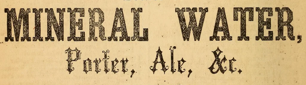 An illustration from Boyd's directory of Washington, Georgetown and Alexandria, 1871, leaf 478