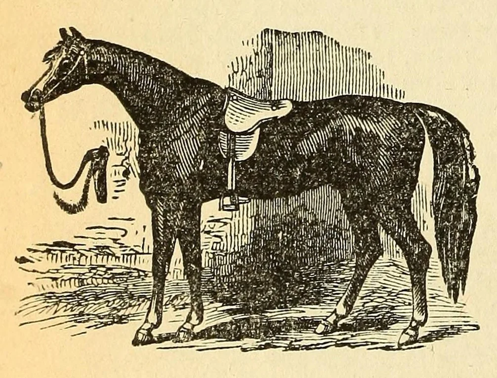 An illustration from Boyd's directory of the District of Columbia, 1878, leaf 294