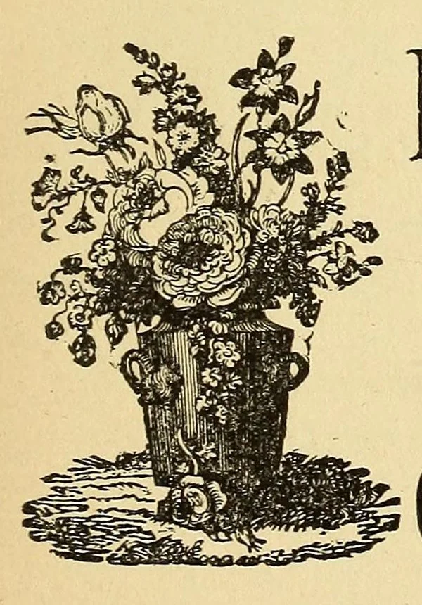 An illustration from Boyd's directory of the District of Columbia, 1878, leaf 71