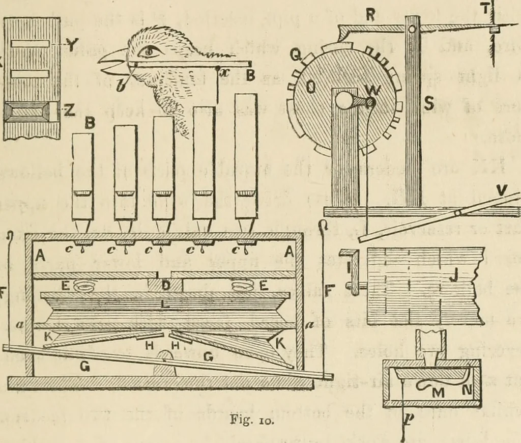 An illustration from The boy engineers;, 1880, leaf 122