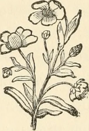 An illustration from The boy engineers;, 1880, leaf 157