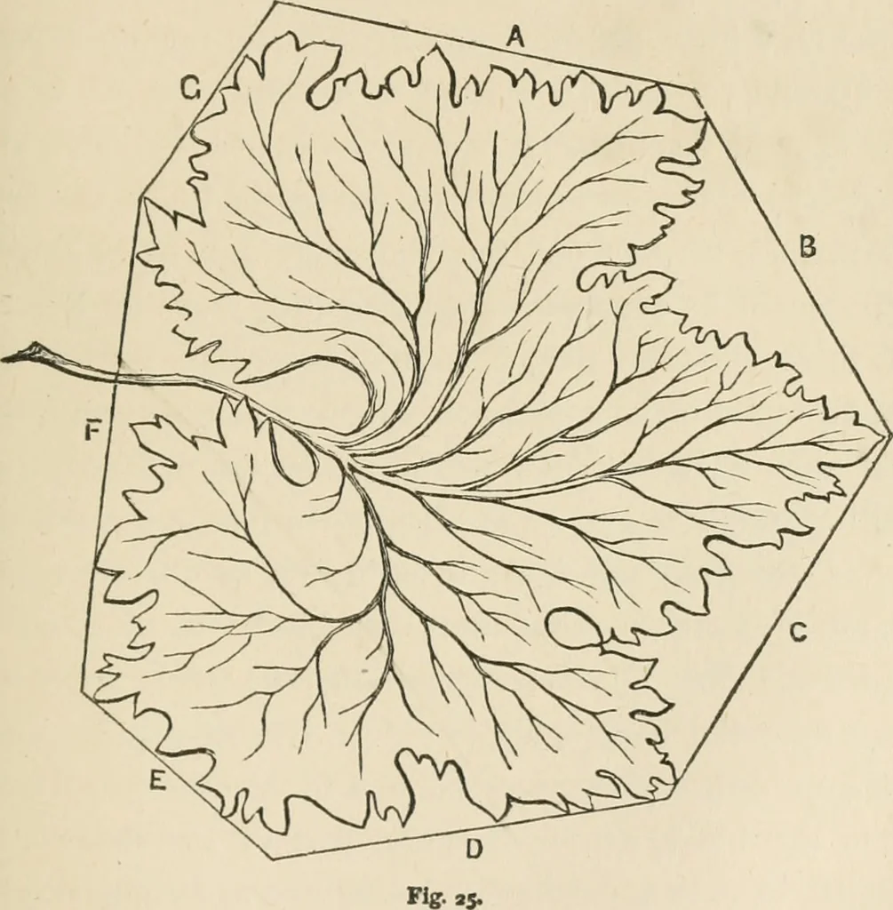An illustration from The boy engineers;, 1880, leaf 296