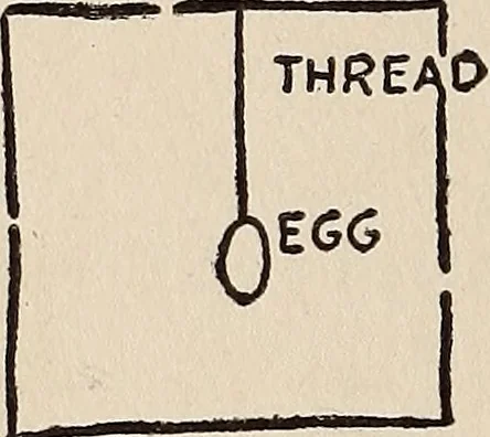 An illustration from The boy magician : a large number of the latest and best tricks carefully selected for the rising generation of conjurers, 1922, leaf 143