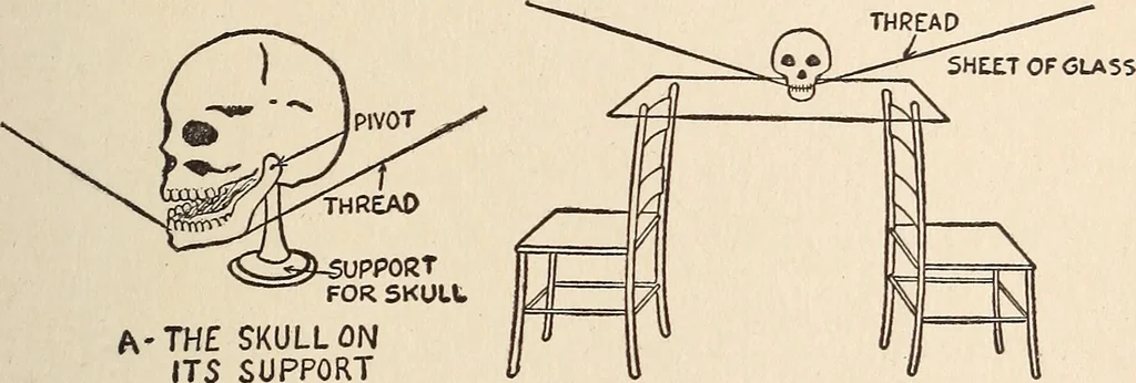 An illustration from The boy magician : a large number of the latest and best tricks carefully selected for the rising generation of conjurers, 1922, leaf 218