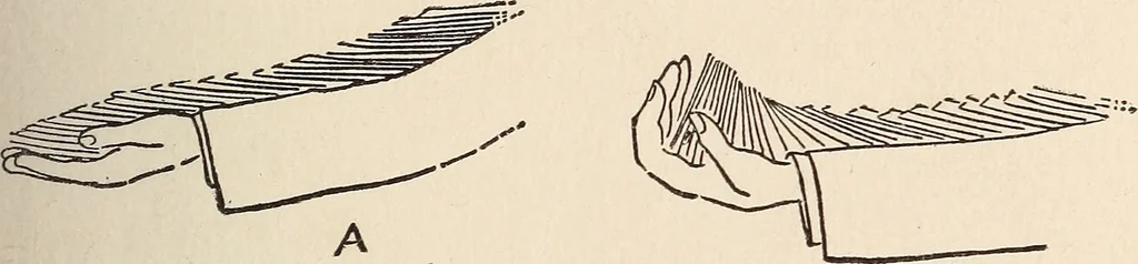 An illustration from The boy magician : a large number of the latest and best tricks carefully selected for the rising generation of conjurers, 1922, leaf 80