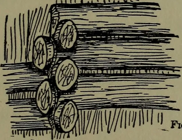 An illustration from The boys' book of carpentry, 1922, leaf 206
