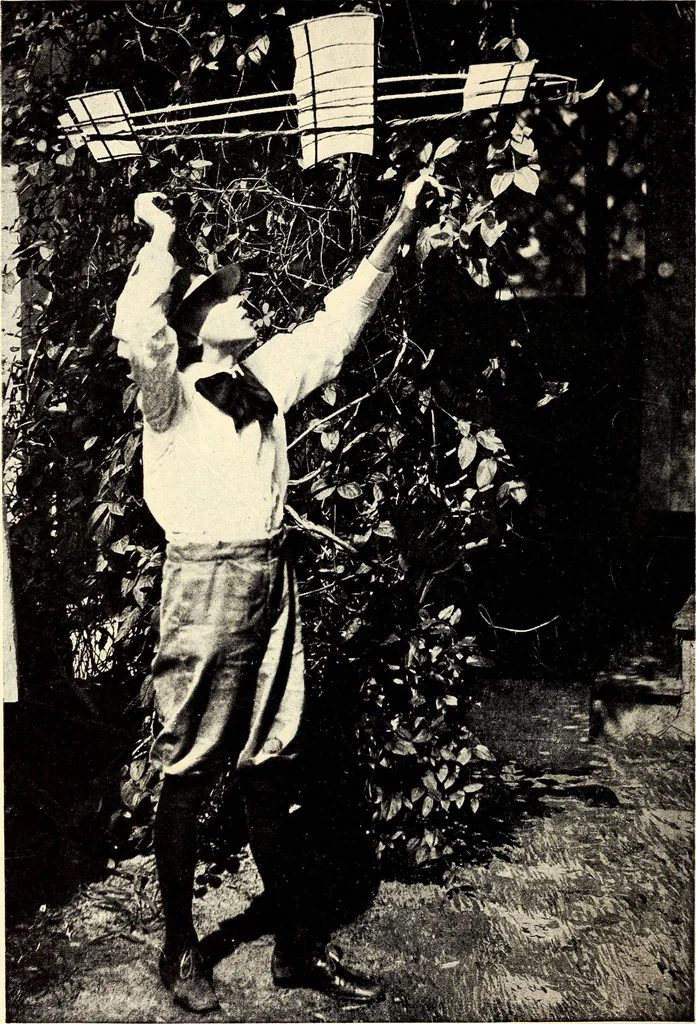 An illustration from The boys' book of model aeroplanes : how to build and fly them : with the story of the evolution of the flying machine, 1912, leaf 11