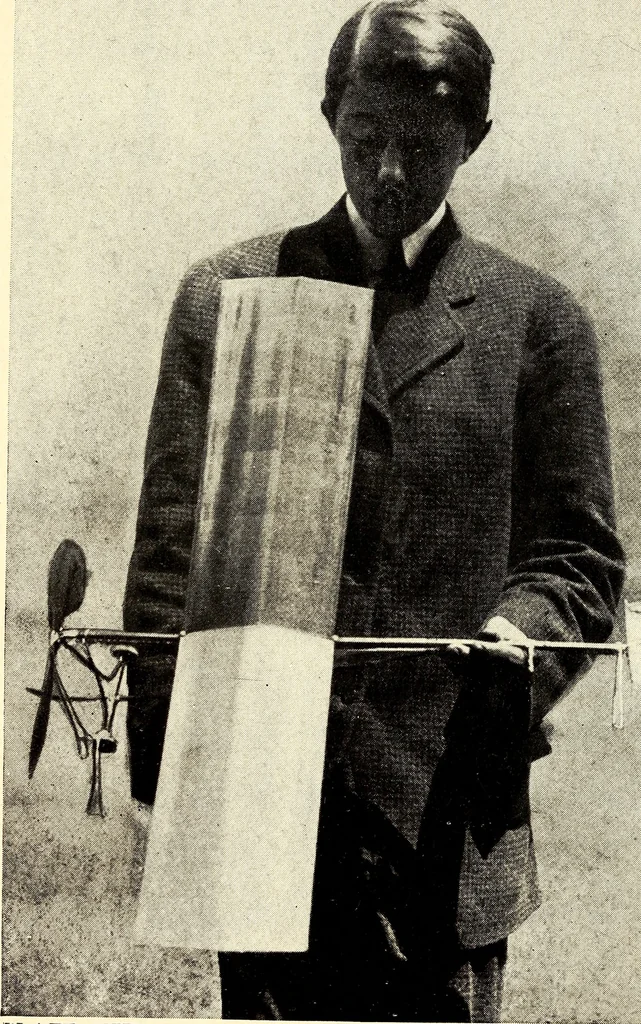 An illustration from The boys' book of model aeroplanes : how to build and fly them : with the story of the evolution of the flying machine, 1912, leaf 193