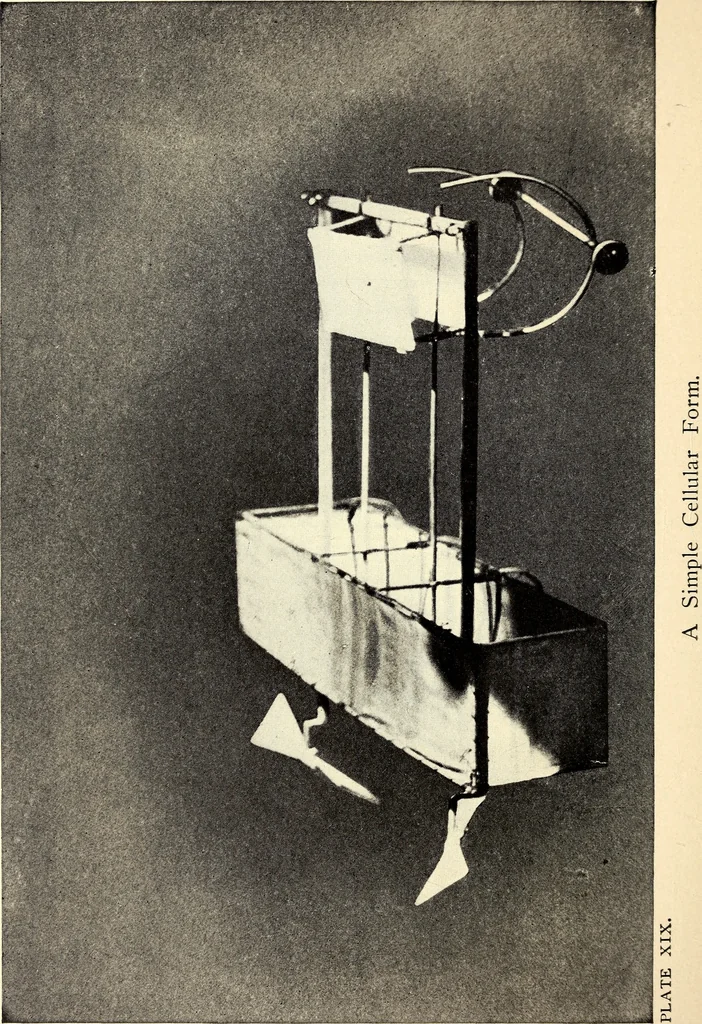 An illustration from The boys' book of model aeroplanes : how to build and fly them : with the story of the evolution of the flying machine, 1912, leaf 229