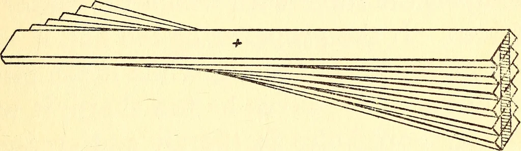 An illustration from The boys' book of model aeroplanes : how to build and fly them : with the story of the evolution of the flying machine, 1912, leaf 72