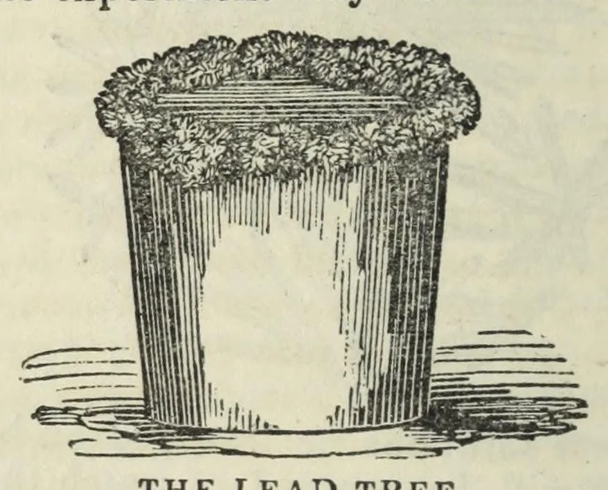 An illustration from The boy's holyday book, for all seasons : containing complete instructions for angling, swimming, conjuring, the making of fireworks, cricket, archery, gymnastics, and the various games for boys : numerous scientific experiments & amusements : elucidations of photography, electrotype, and daguerreotype : arithmetical pastimes : the language of the deaf & dumb, &c. : with numerous engravings, 1840, leaf 224