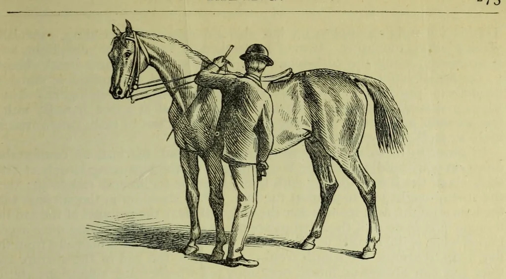 An illustration from The Boy's modern playmate : a book of sports, games, and pastimes, 1891, leaf 289