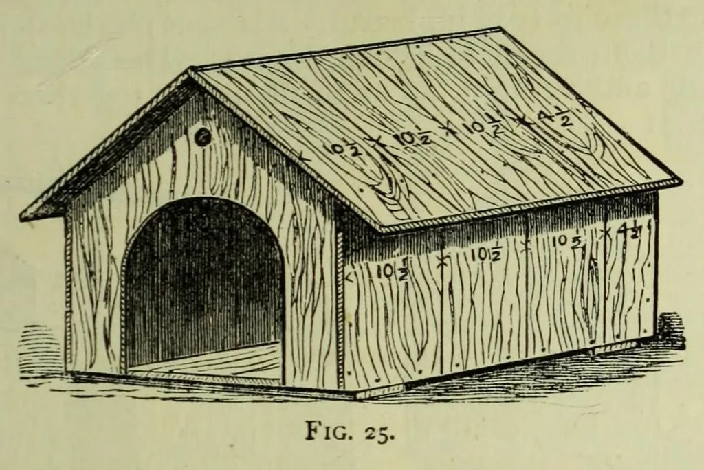 An illustration from The Boy's modern playmate : a book of sports, games, and pastimes, 1891, leaf 409