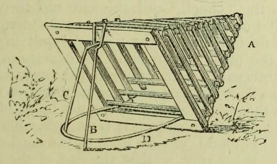 An illustration from The Boy's modern playmate : a book of sports, games, and pastimes, 1891, leaf 479