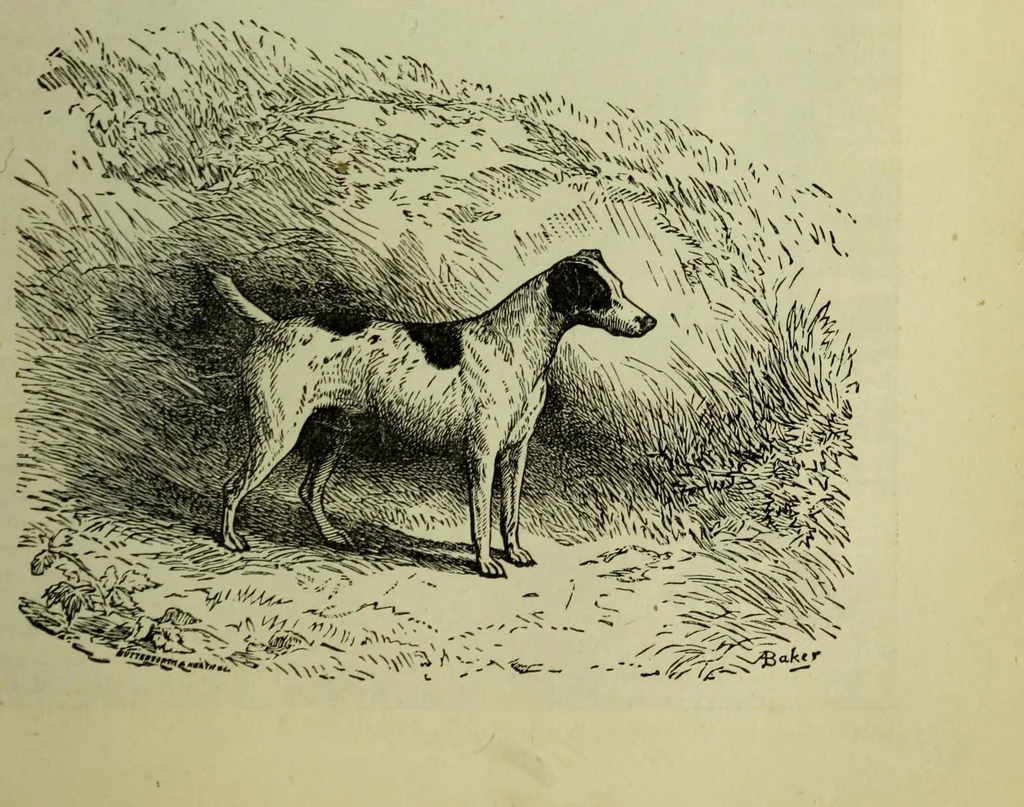 An illustration from The Boy's modern playmate : a book of sports, games, and pastimes, 1891, leaf 545