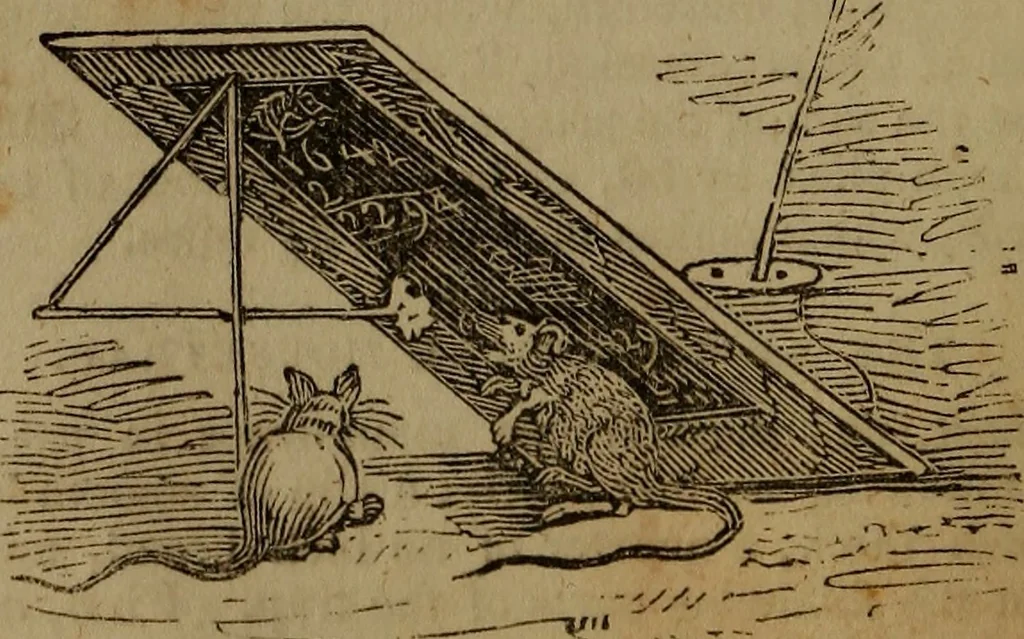 An illustration from The boy's own book;, 1834, leaf 111