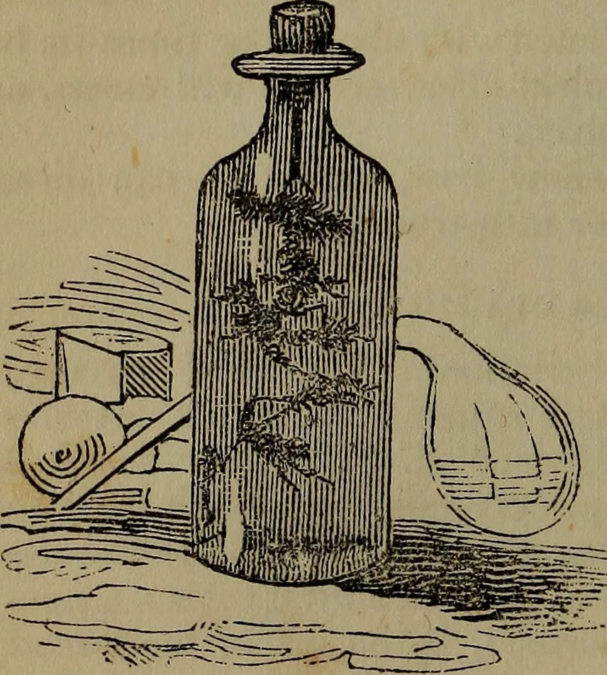 An illustration from The boy's own book;, 1834, leaf 137