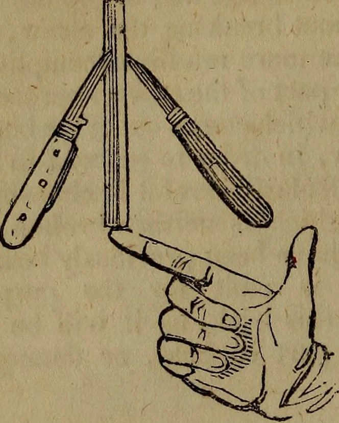 An illustration from The boy's own book;, 1834, leaf 161