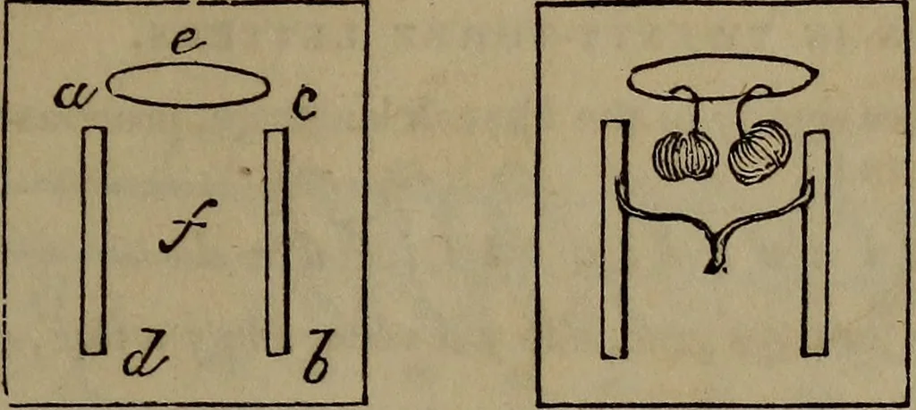 An illustration from The boy's own book;, 1834, leaf 218