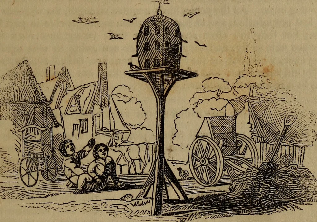 An illustration from The boy's own book;, 1834, leaf 286