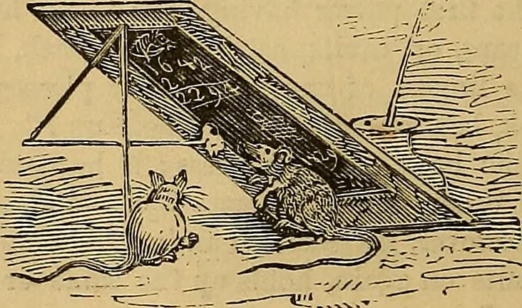 An illustration from Boys' own book : a complete encyclopedia of athletic, scientific, outdoor, and indoor sports, 1881, leaf 109