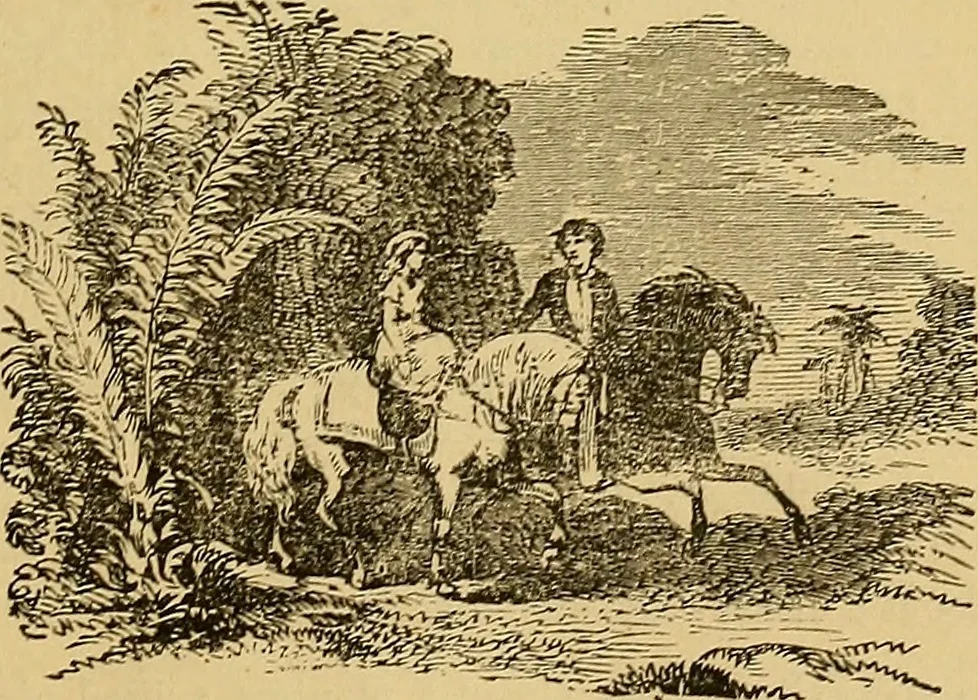 An illustration from Boys' own book : a complete encyclopedia of athletic, scientific, outdoor, and indoor sports, 1881, leaf 184