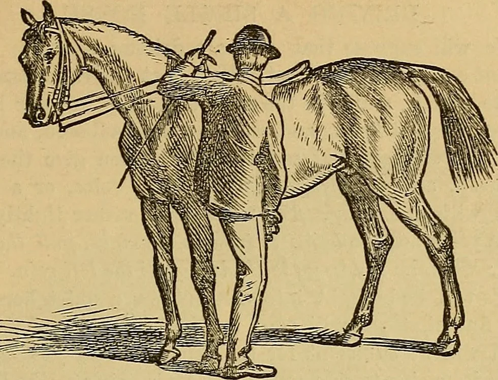 An illustration from Boys' own book : a complete encyclopedia of athletic, scientific, outdoor, and indoor sports, 1881, leaf 206