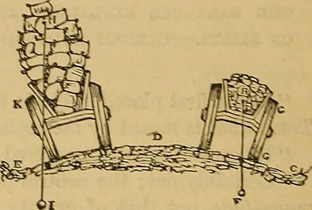 An illustration from Boys' own book : a complete encyclopedia of athletic, scientific, outdoor, and indoor sports, 1881, leaf 319