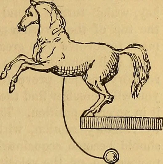 An illustration from Boys' own book : a complete encyclopedia of athletic, scientific, outdoor, and indoor sports, 1881, leaf 332