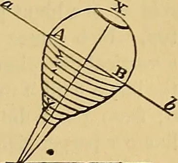 An illustration from Boys' own book : a complete encyclopedia of athletic, scientific, outdoor, and indoor sports, 1881, leaf 376