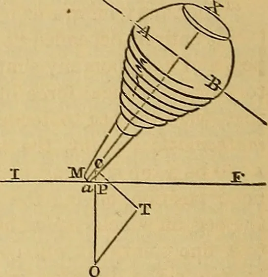 An illustration from Boys' own book : a complete encyclopedia of athletic, scientific, outdoor, and indoor sports, 1881, leaf 377