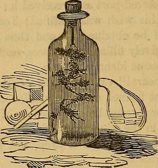 An illustration from Boys' own book : a complete encyclopedia of athletic, scientific, outdoor, and indoor sports, 1881, leaf 425