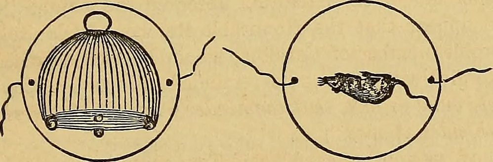 An illustration from Boys' own book : a complete encyclopedia of athletic, scientific, outdoor, and indoor sports, 1881, leaf 510