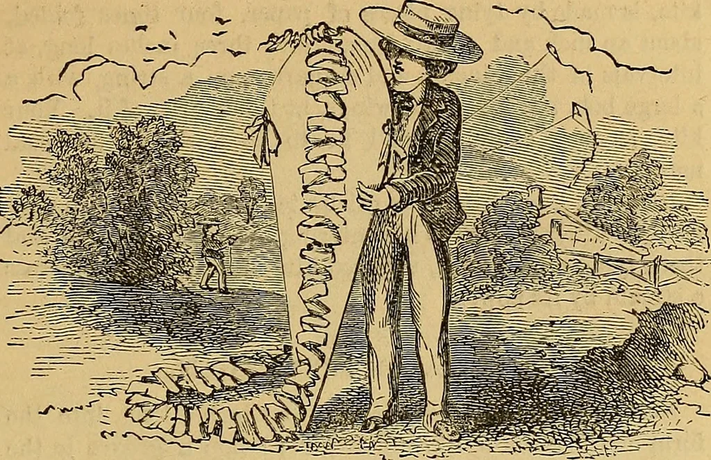 An illustration from Boys' own book : a complete encyclopedia of athletic, scientific, outdoor, and indoor sports, 1881, leaf 68