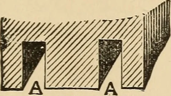 An illustration from The boy's own book of indoor games and recreations : a popular encyclopædia for boys, 1890, leaf 100