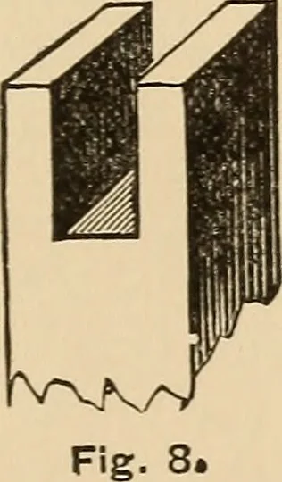 An illustration from The boy's own book of indoor games and recreations : a popular encyclopædia for boys, 1890, leaf 100