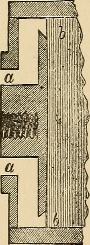 An illustration from The boy's own book of indoor games and recreations : a popular encyclopædia for boys, 1890, leaf 139