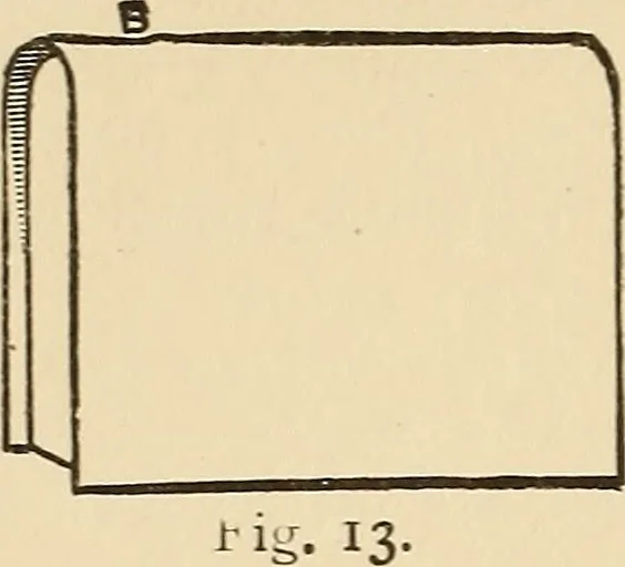 An illustration from The boy's own book of indoor games and recreations : a popular encyclopædia for boys, 1890, leaf 155