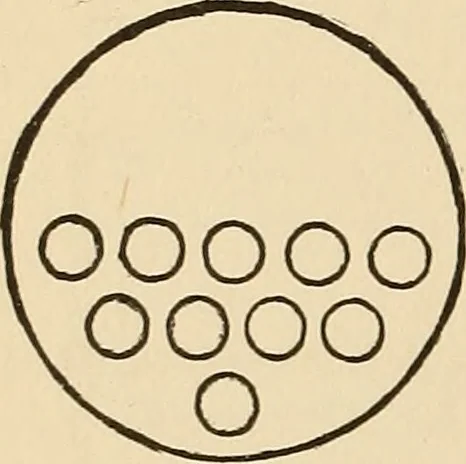 An illustration from The boy's own book of indoor games and recreations : a popular encyclopædia for boys, 1890, leaf 163