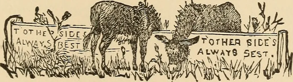 An illustration from The boy's own book of indoor games and recreations : a popular encyclopædia for boys, 1890, leaf 206