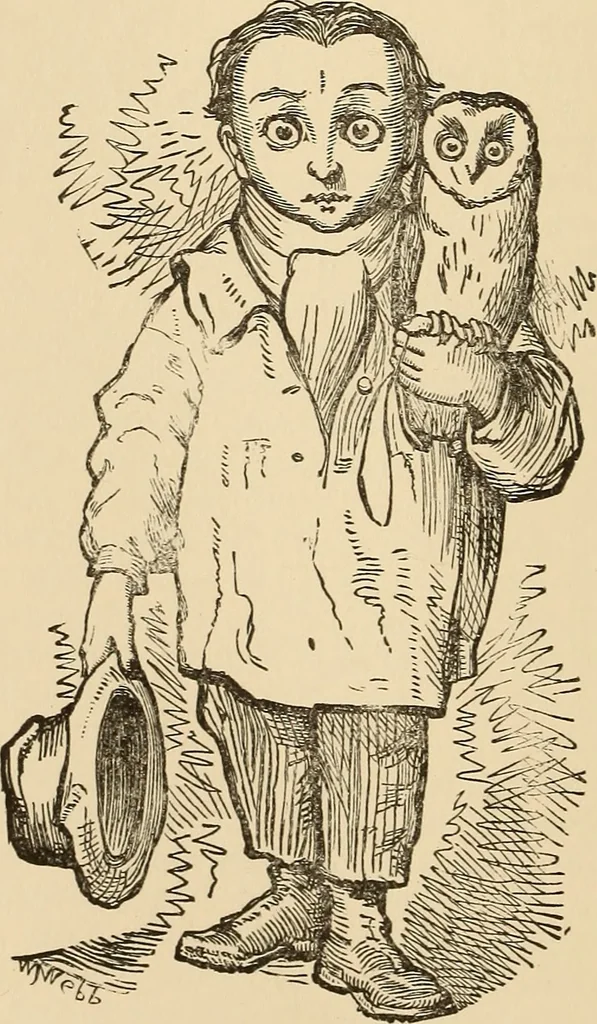 An illustration from The boy's own book of indoor games and recreations : a popular encyclopædia for boys, 1890, leaf 221
