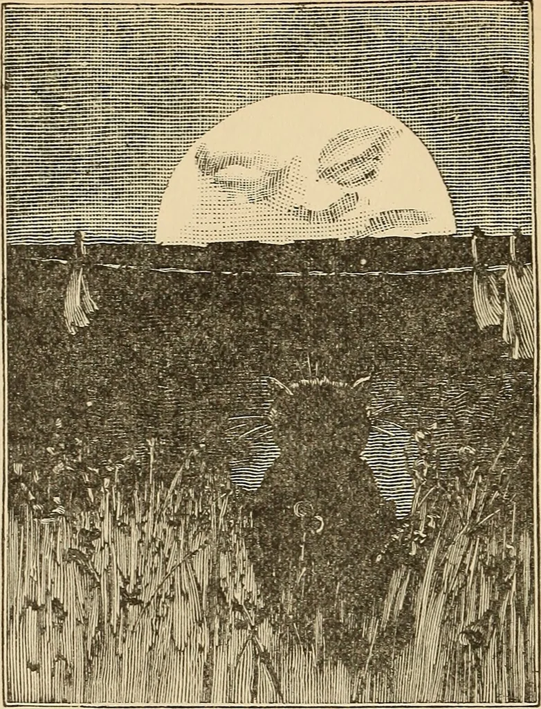 An illustration from The boy's own book of indoor games and recreations : a popular encyclopædia for boys, 1890, leaf 223