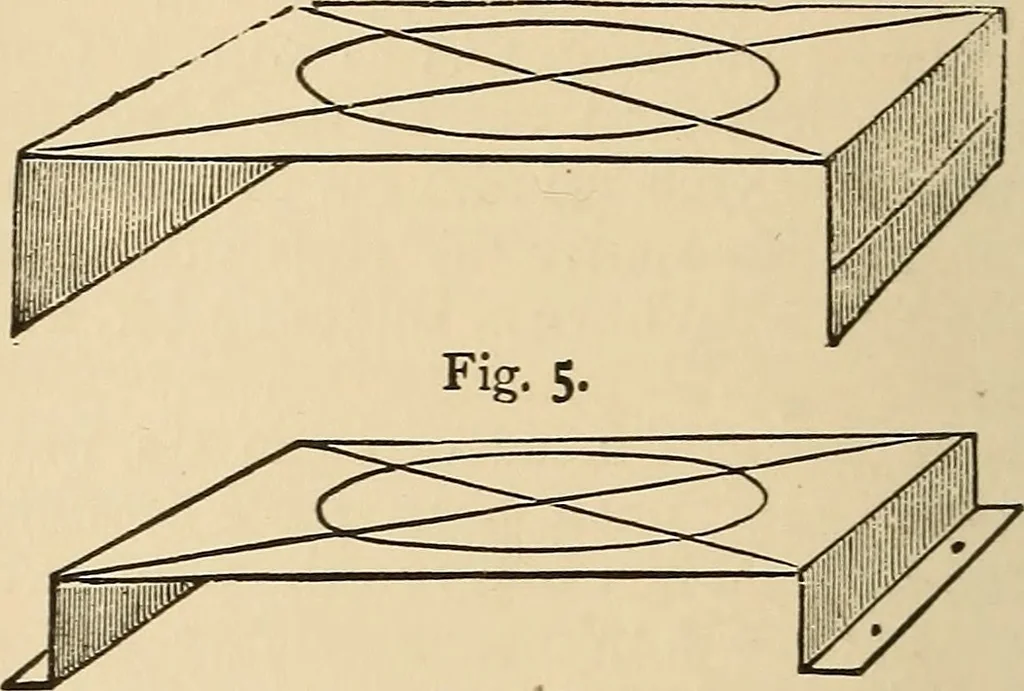 An illustration from The boy's own book of indoor games and recreations : a popular encyclopædia for boys, 1890, leaf 239