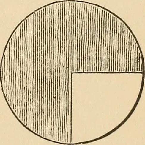 An illustration from The boy's own book of indoor games and recreations : a popular encyclopædia for boys, 1890, leaf 240