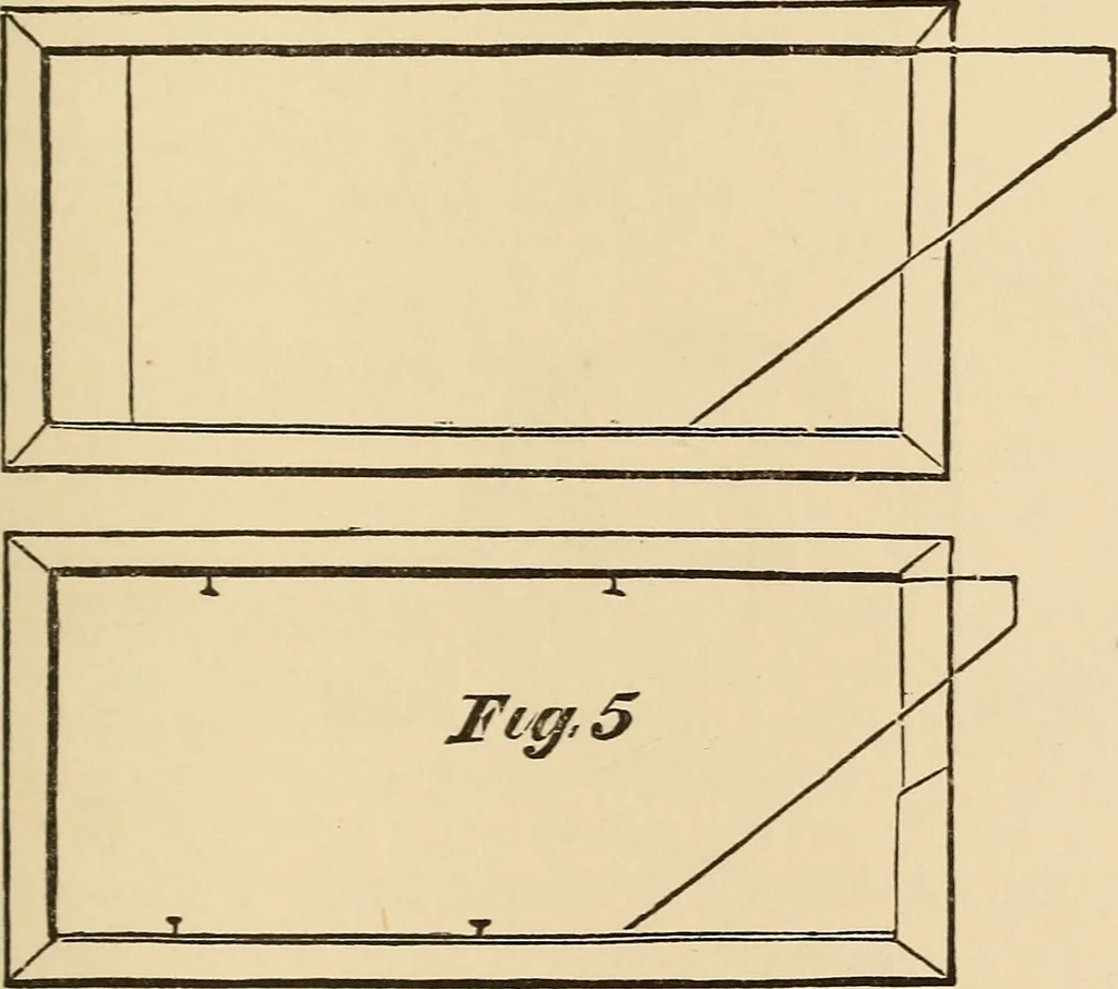 An illustration from The boy's own book of indoor games and recreations : a popular encyclopædia for boys, 1890, leaf 248