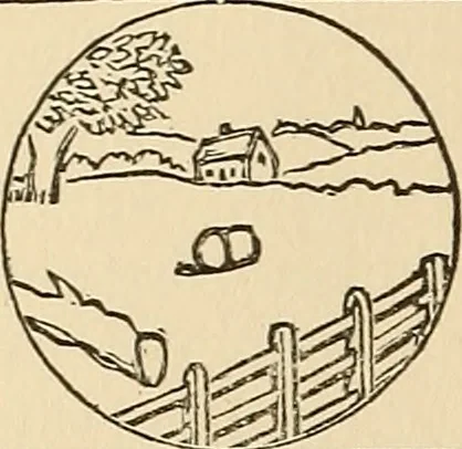 An illustration from The boy's own book of indoor games and recreations : a popular encyclopædia for boys, 1890, leaf 249